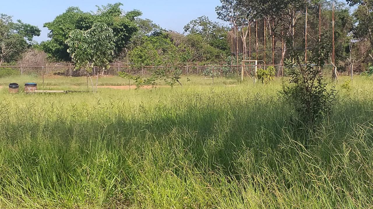 Foto 11 de 21 — Mato toma conta de praça no Maria Luiza; Prefeitura não tem prazo para zeladoria no bairro